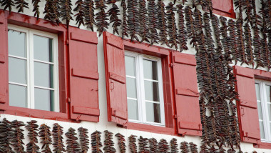 Learn Basque Online – Level 3