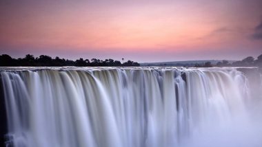 Learn Shona Online – (Business)